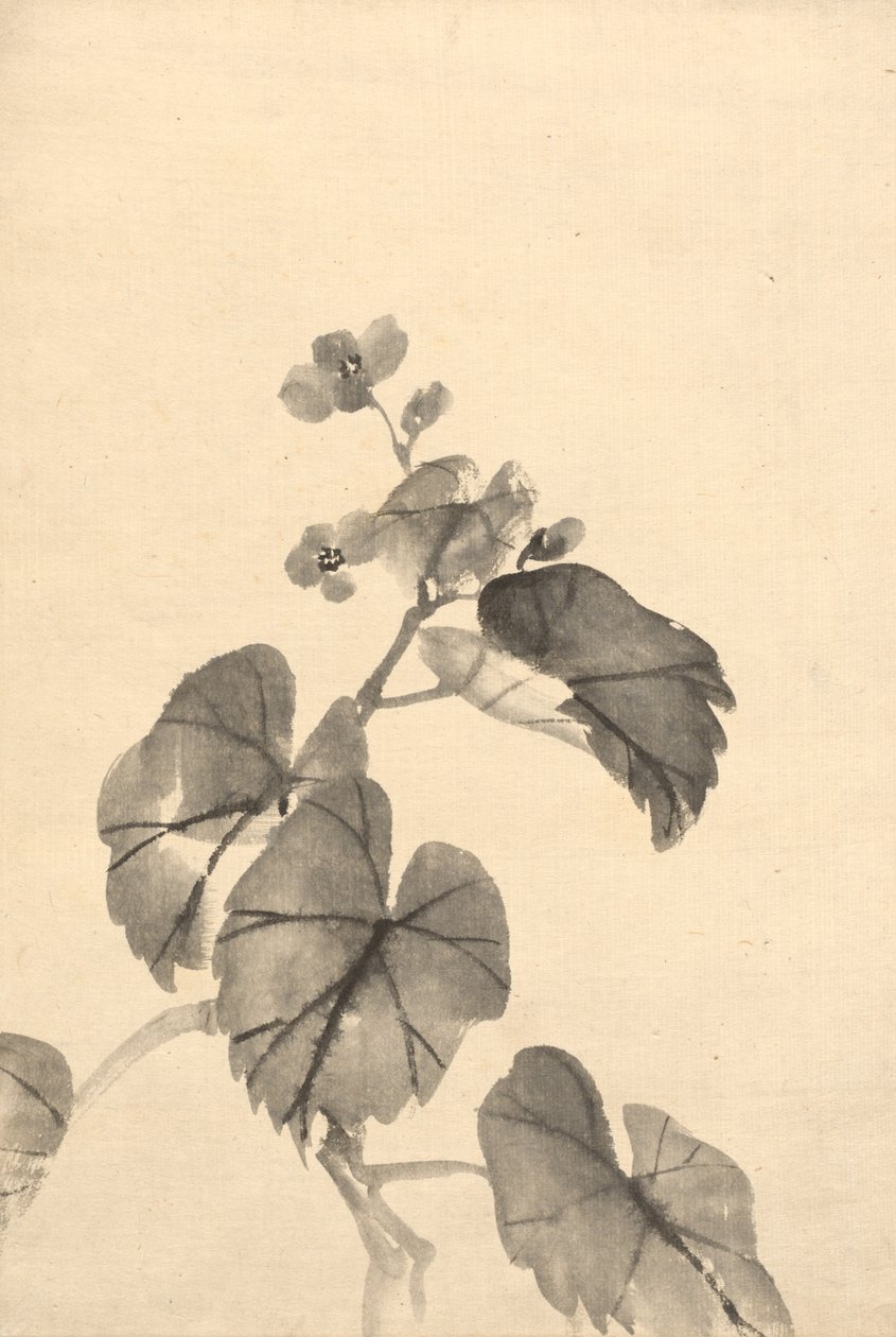 Ramo da begônia em flor. de Kono Bairei