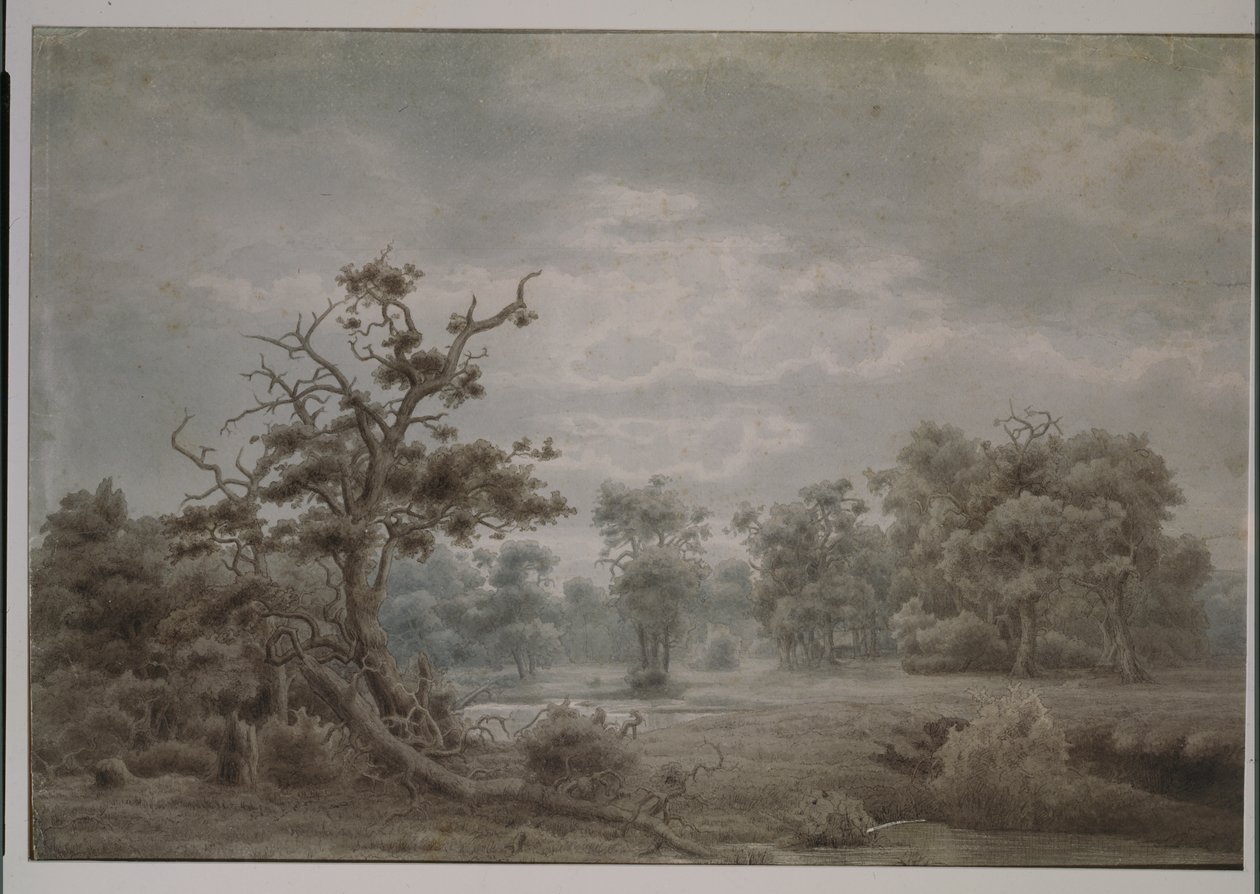 Paisagem da floresta de Dusseldorf de Lars Hertervig