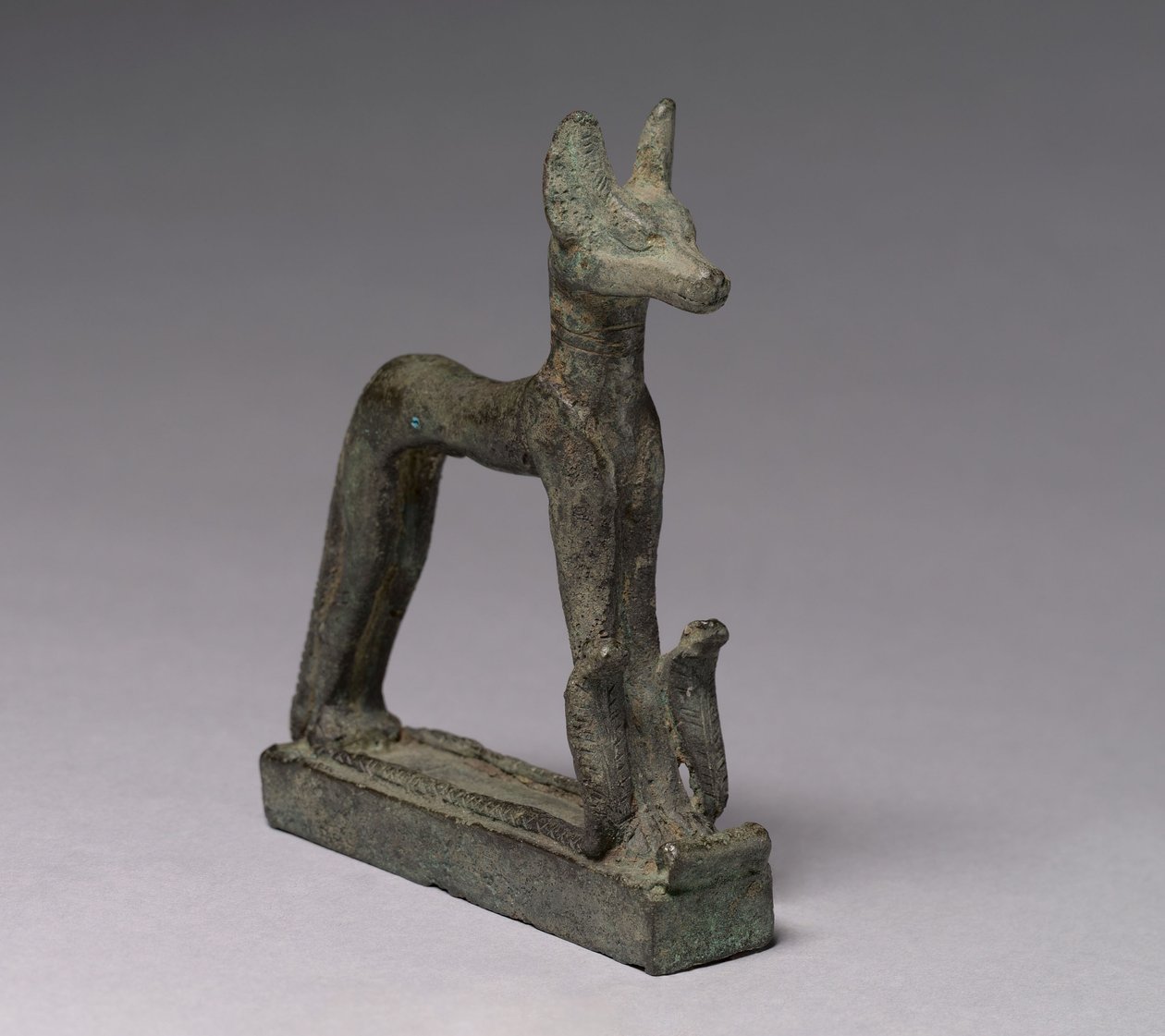 Chacal, 664-30 aC de Late Period Egyptian