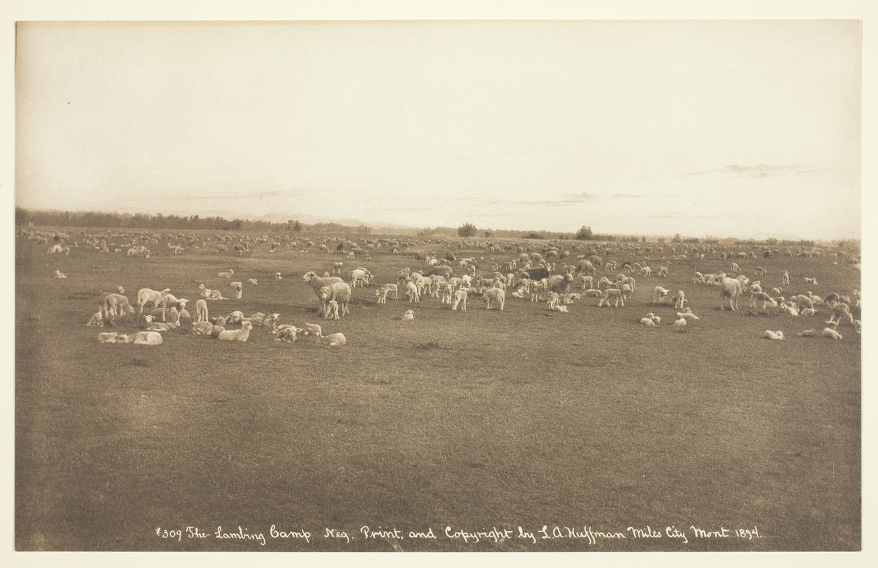 Acampamento de Lambing de Laton Alton Huffman