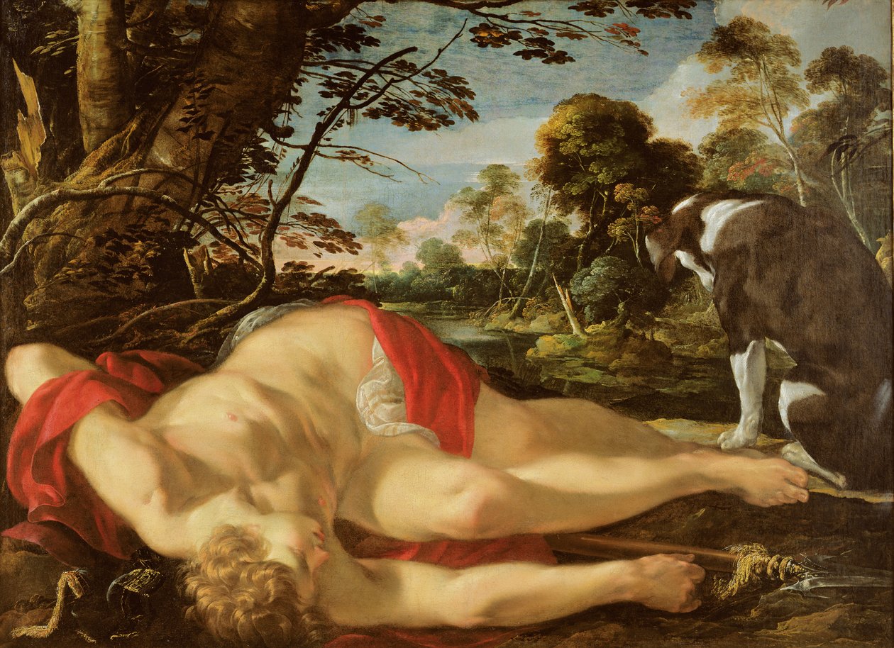 Adonis Morto, c.1624-28 de Laurent de la Hyre
