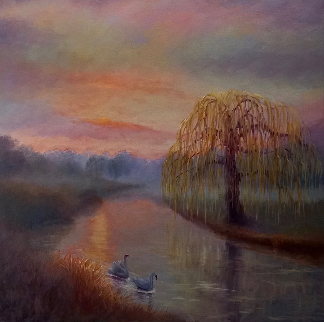 Misty Dawn, Bushy Park, 2024 de Lee Campbell