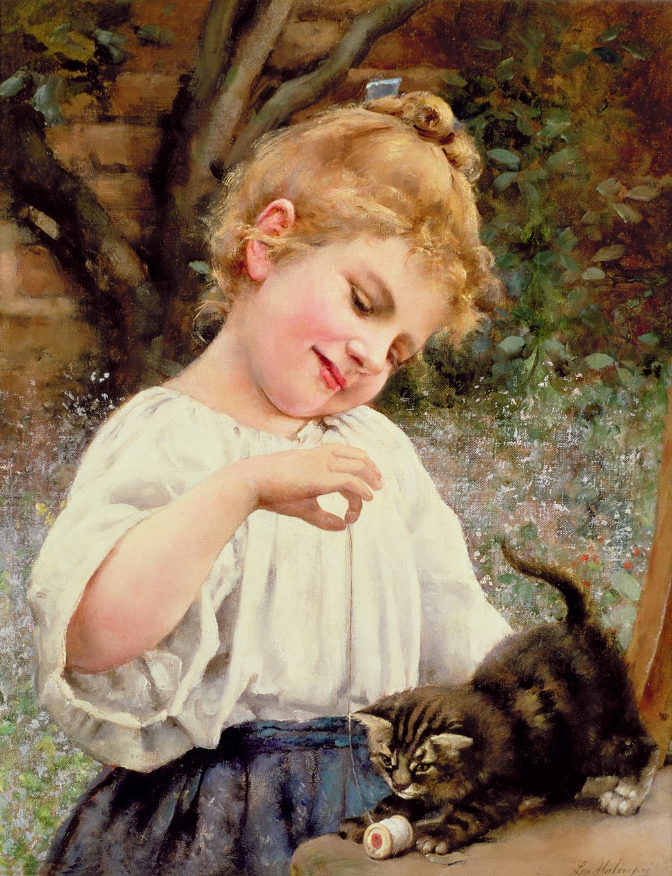 O gatinho brincalhão de Leo Malempre