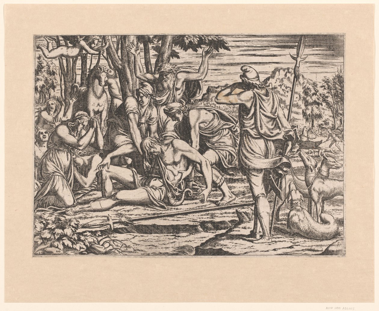 Morte de Adônis de Leon Davent