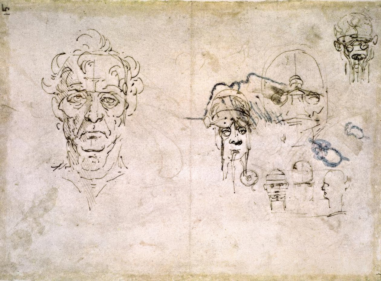 estudos de anatomia de Leonardo da Vinci
