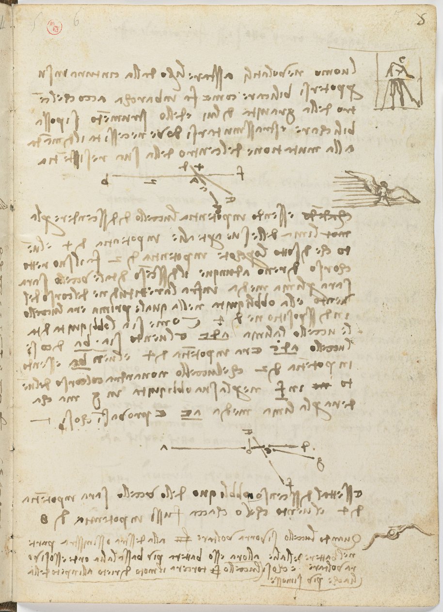 Código de Voo das Aves, c. 1505-06, manuscrito de papel, cc. 18, folha 5 recto de Leonardo da Vinci