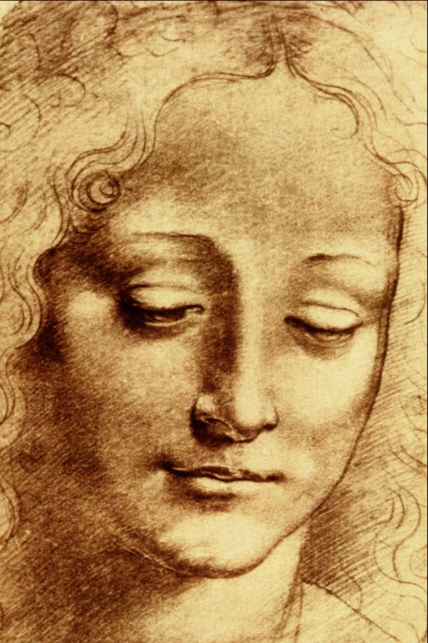 Cabeças da rapariga de Leonardo da Vinci