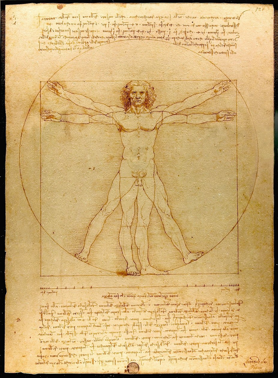 Vitruvian Luc Viatour de Leonardo da Vinci