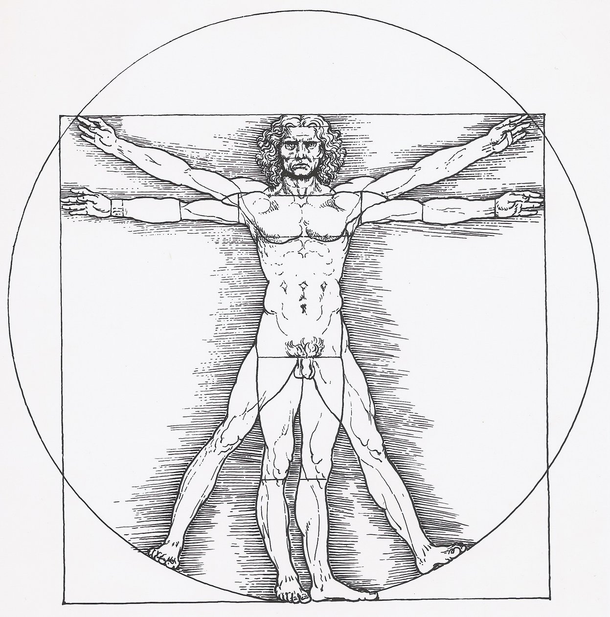 Homem vitruviano de Leonardo da Vinci