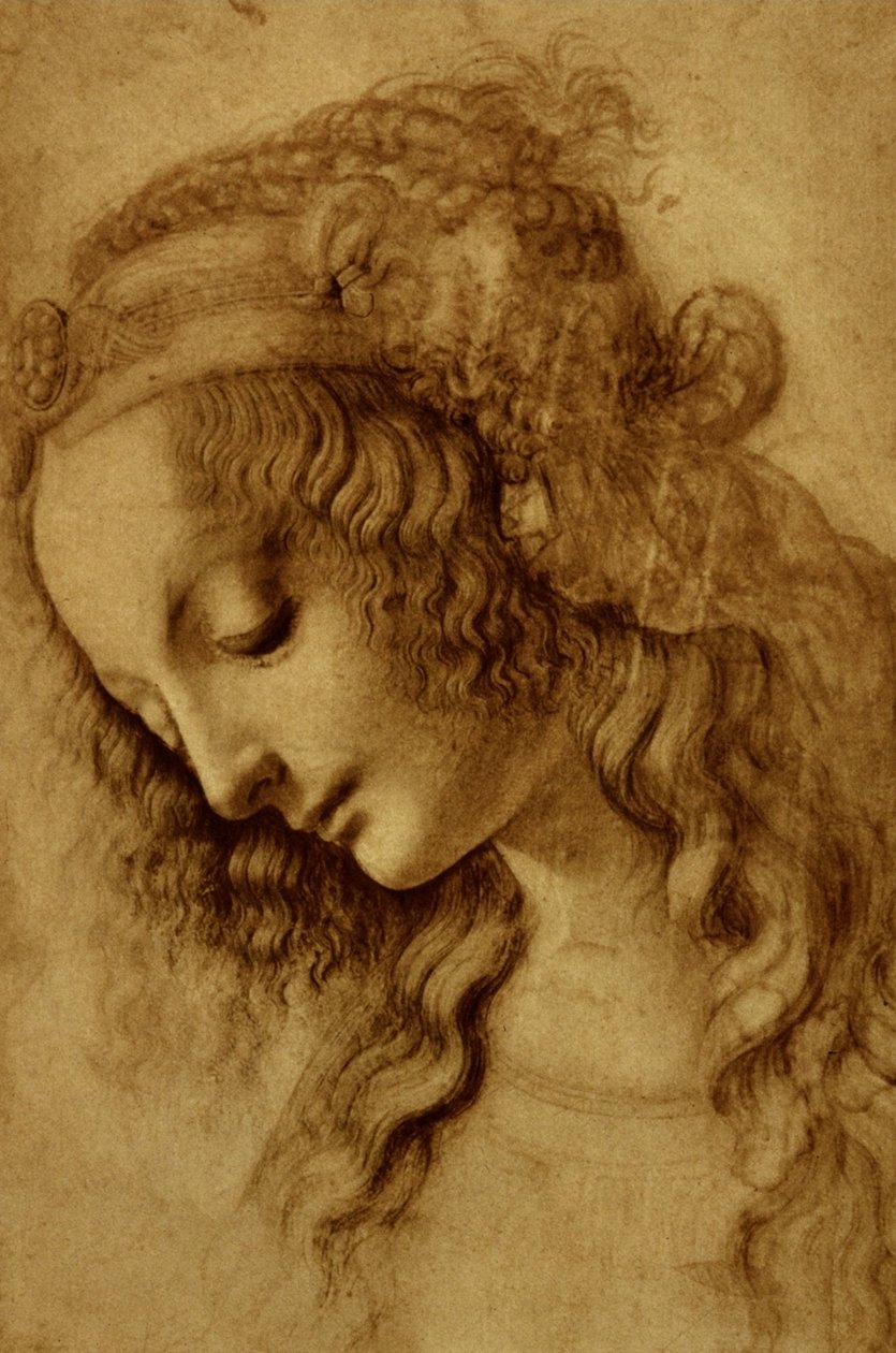 Mulher no perfil de Leonardo da Vinci