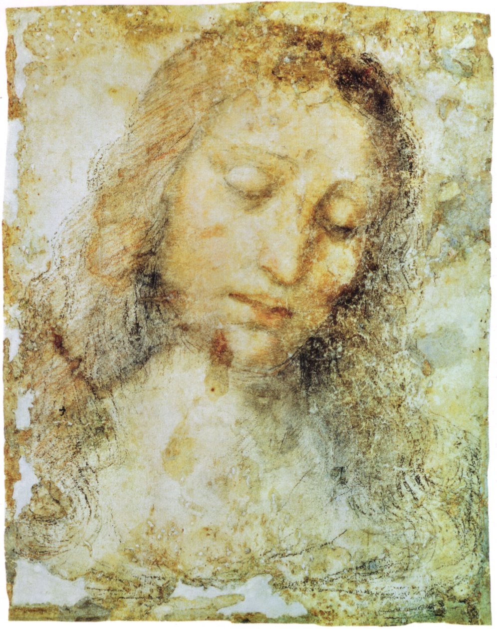 galeria de imagens de brera de Leonardo da Vinci