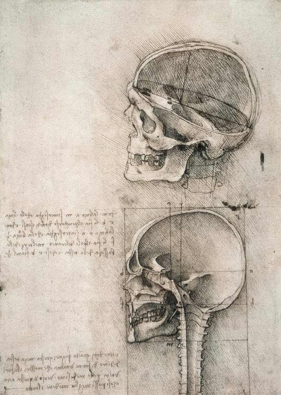 bom senso de Leonardo da Vinci