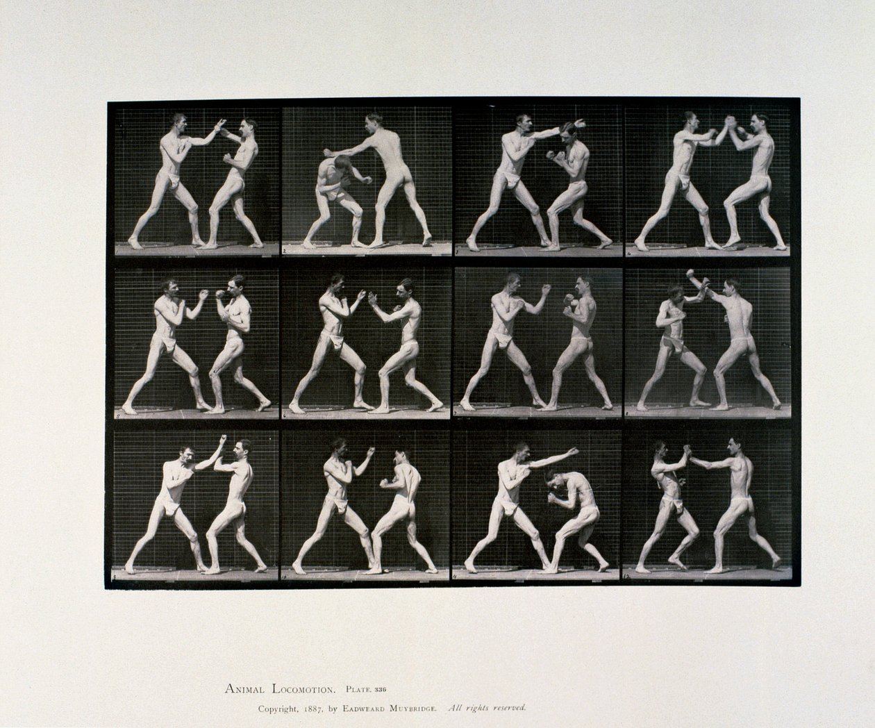 Boxe de atletas masculinos nus, c 1872-1885 de Unbekannt Unbekannt