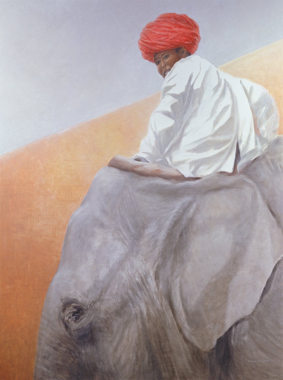 Menino elefante de Lincoln Seligman
