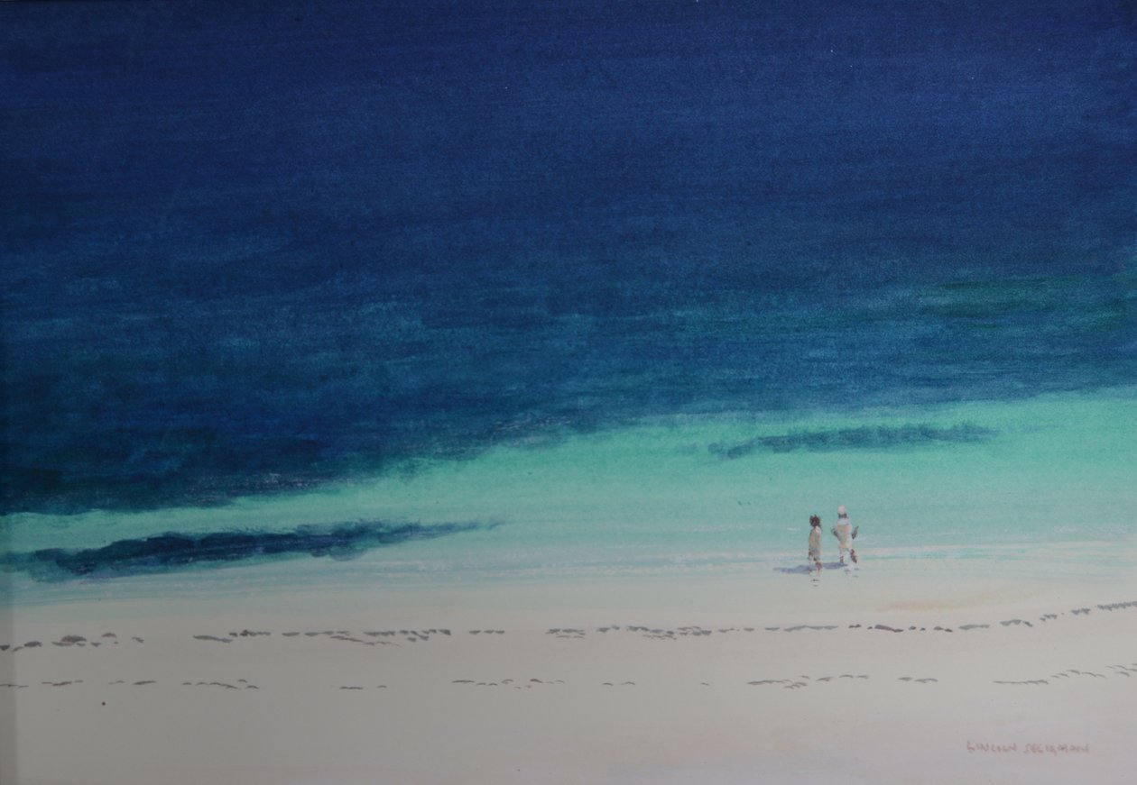 Praia de Kilifi de Lincoln Seligman