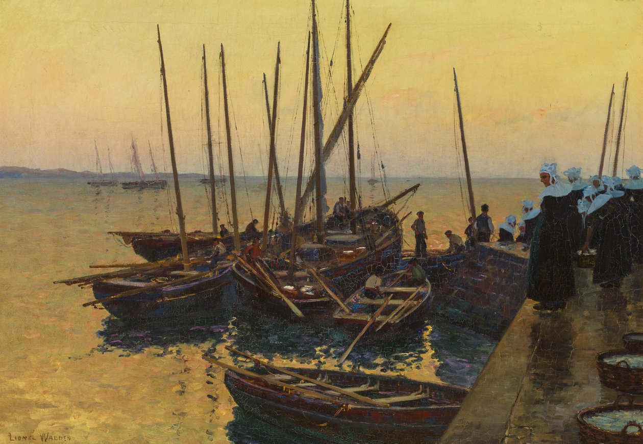 Barcos de Pesca ao longo do Cais de Lionel Walden