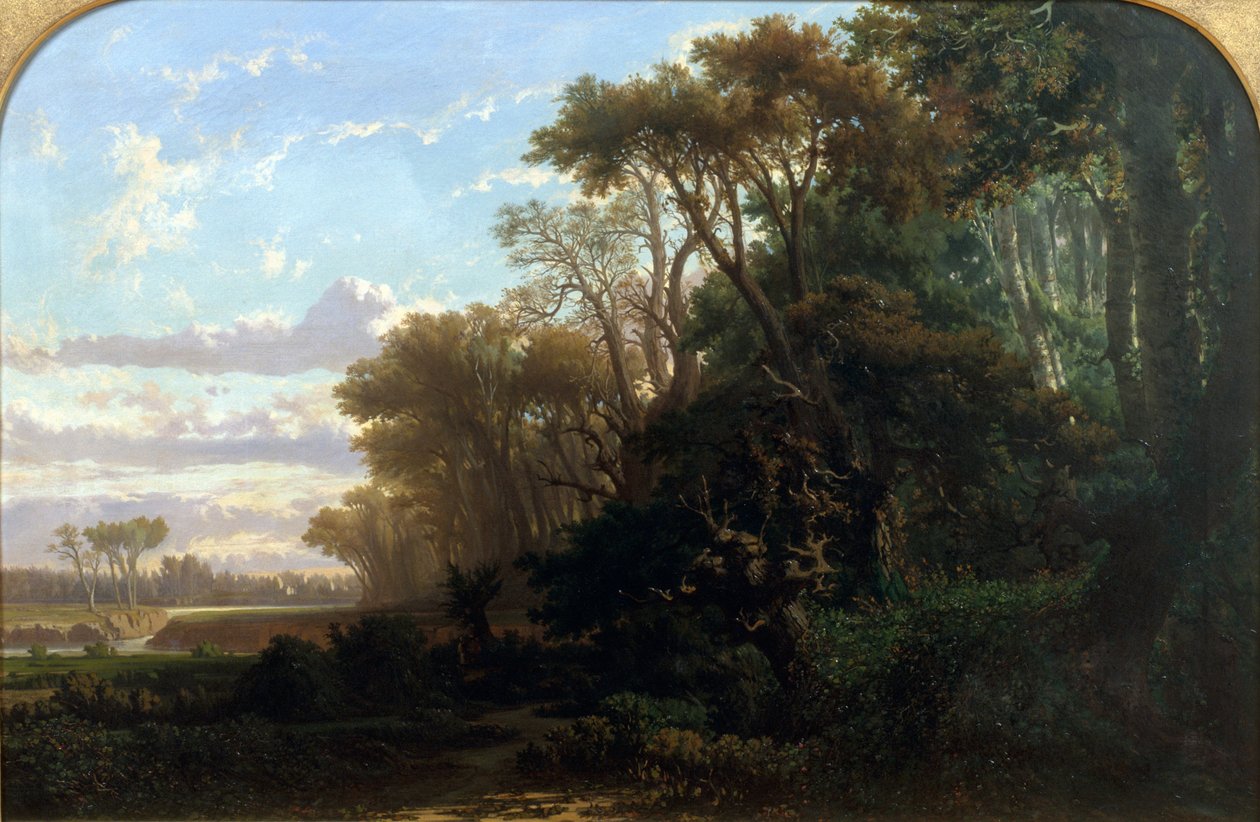 Paisagem com madeiras de Lluís Rigalt