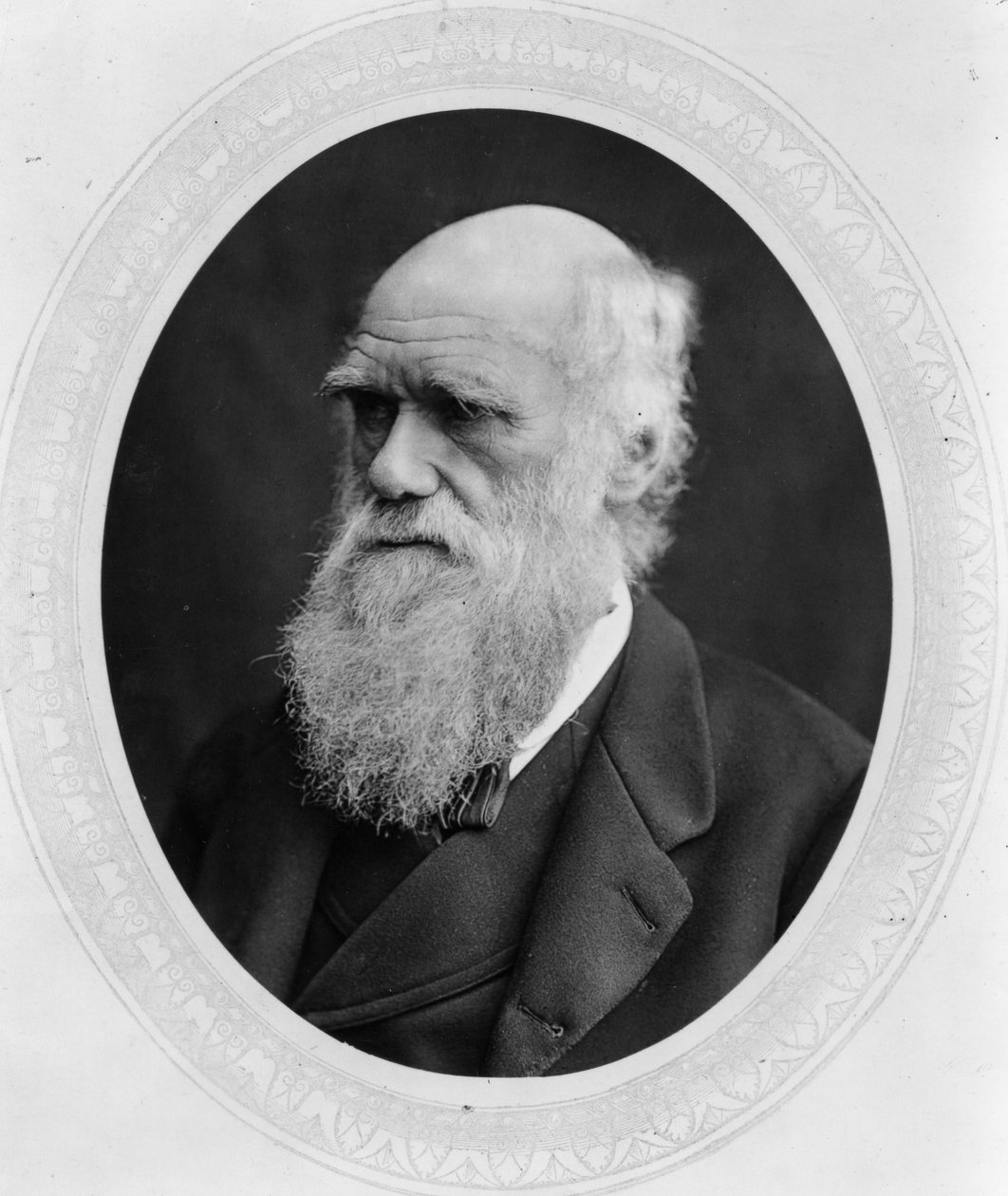 Charles Robert Darwin de Lock and Whitfield