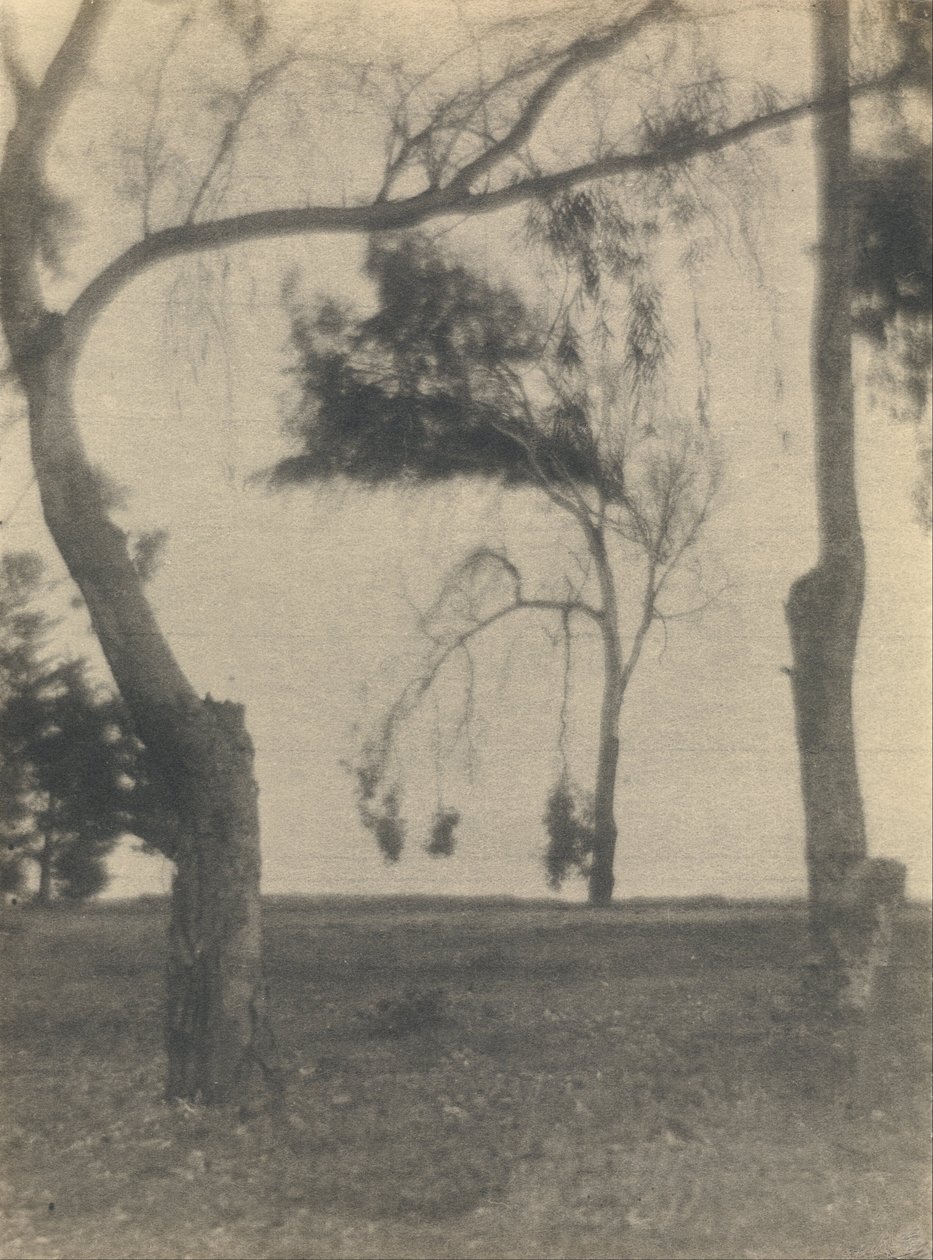 (Paisagem com árvores) de Louis Fleckenstein