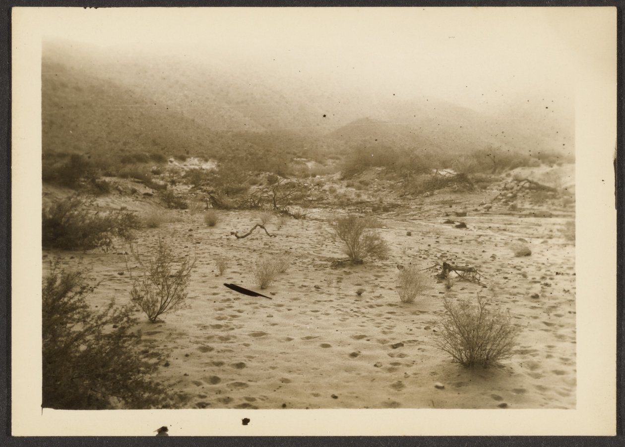 [Coyote Canyon] de Louis Fleckenstein