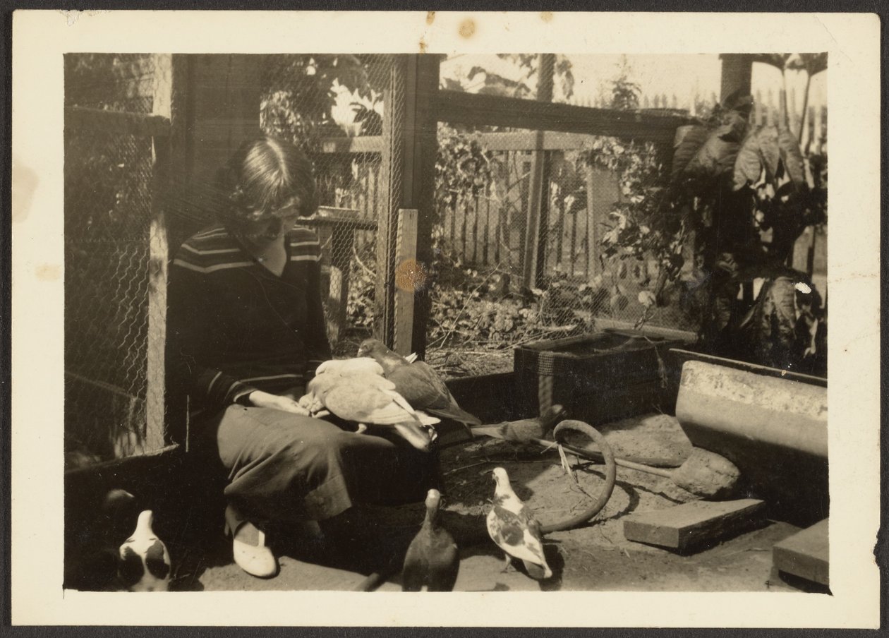 [Florença com Pombos]. de Louis Fleckenstein