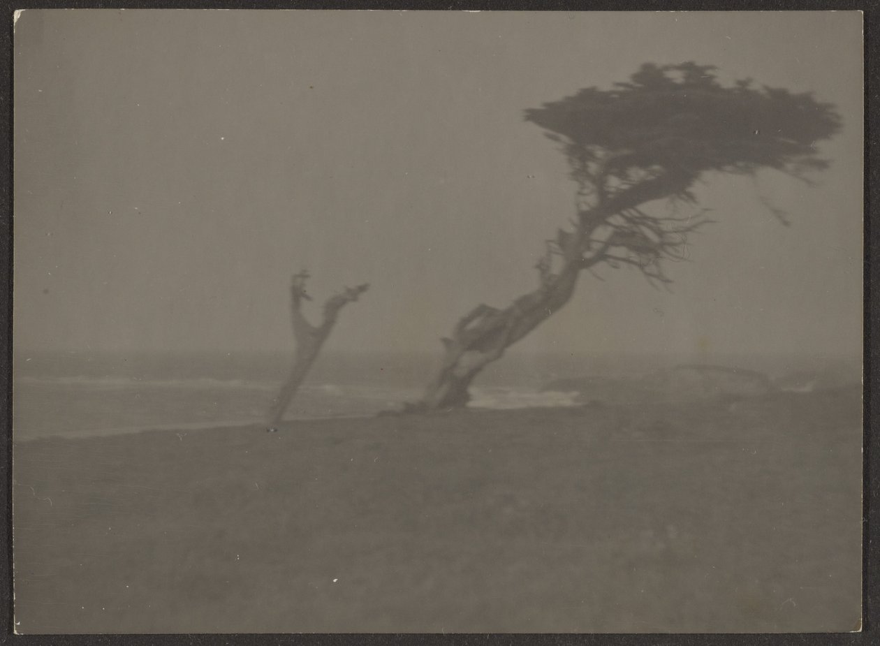 [Paisagem] de Louis Fleckenstein
