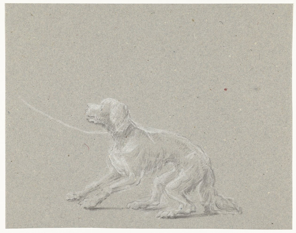 Cão na coleira de Louis Moritz