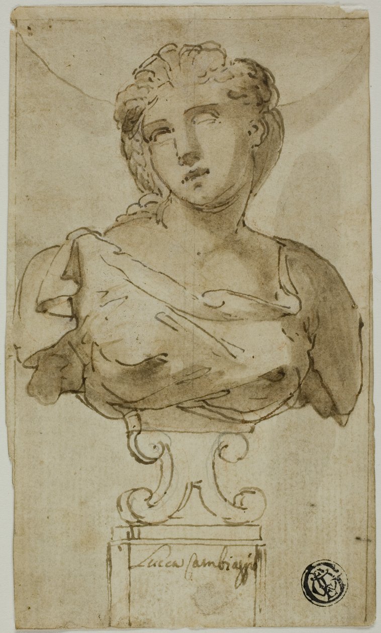 busto de mulher de Luca Cambiaso
