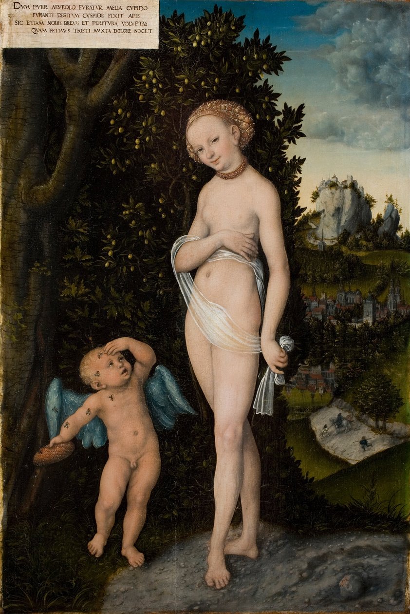 Venus, com, cupid, roubando mel de Lucas Cranach the Elder