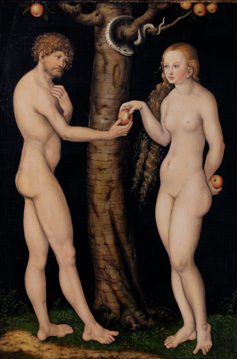 Adão e Eva no Jardim do Éden, c.1520-25 (óleo sobre madeira) de Lucas Cranach the Elder