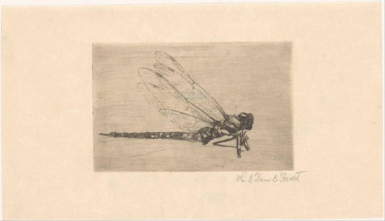 Libel de Lucie van Dam