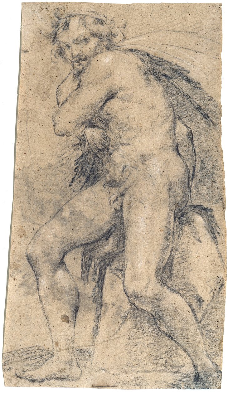Nu masculino (Hércules) de Ludovico Carracci
