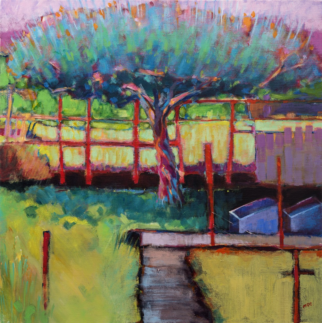 Macieira, primavera de Marco Cazzulini