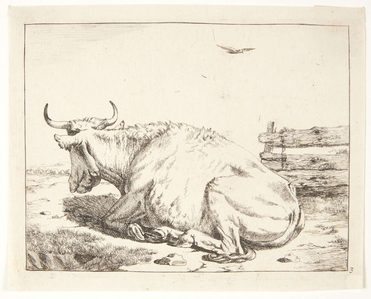 Vaca mentirosa de Marcus de Bye