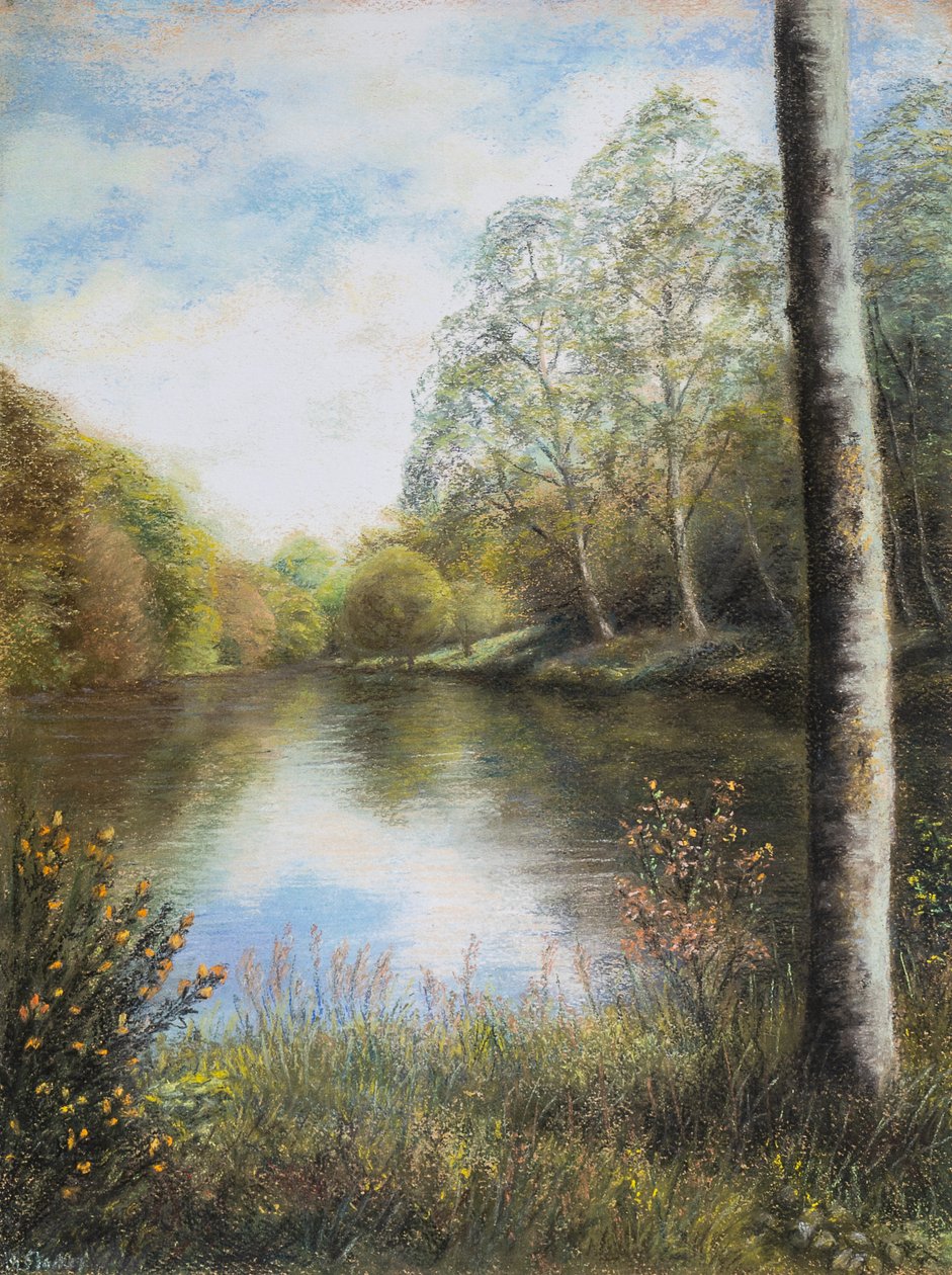 River Dart Devon de Margo Starkey