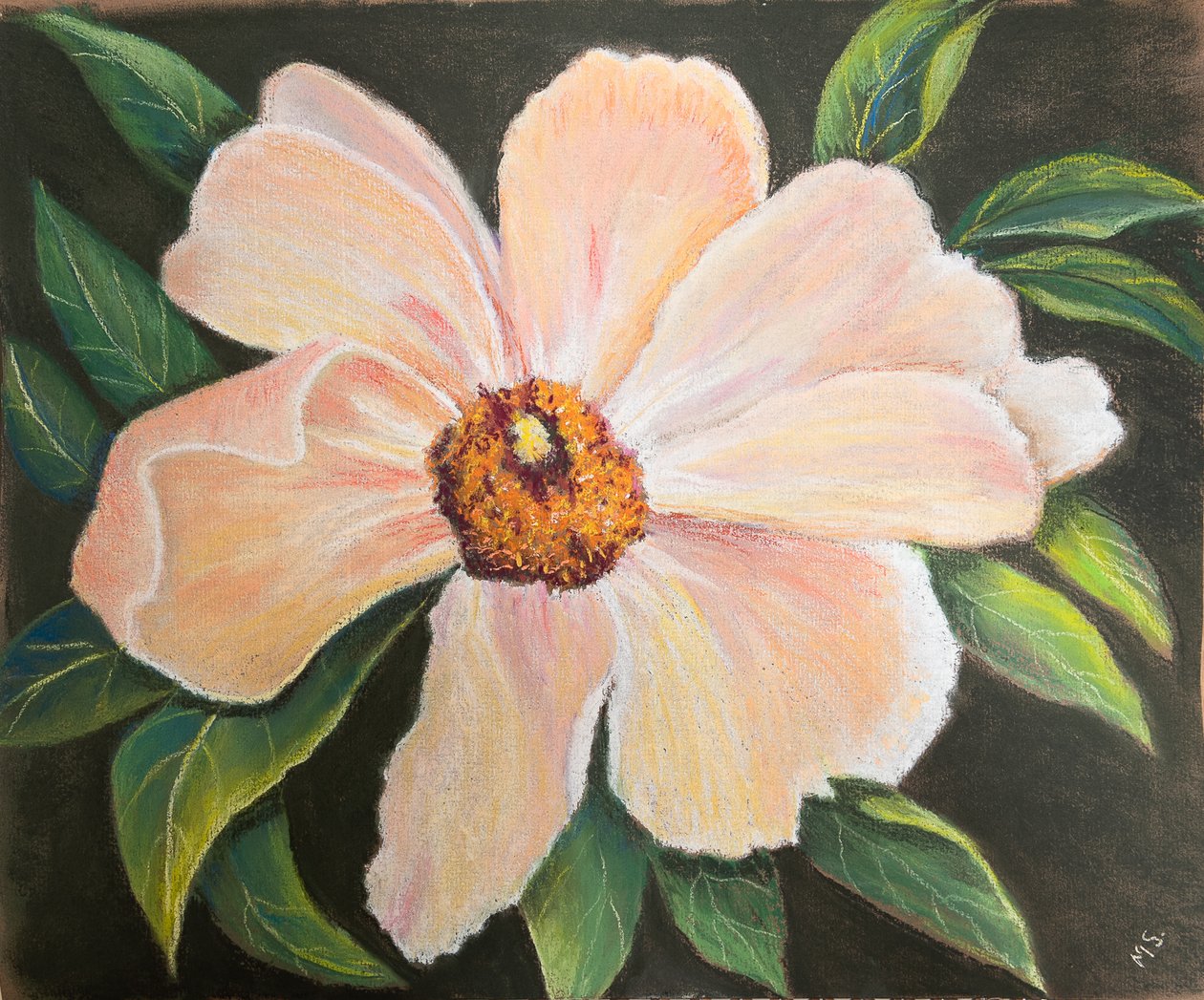 Large Peony, 2022 (pastel) de Margo Starkey