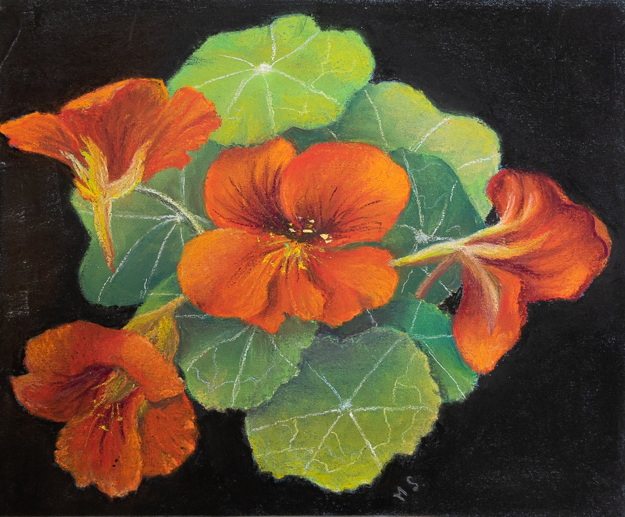 Chagas, 2020 (pastel) de Margo Starkey