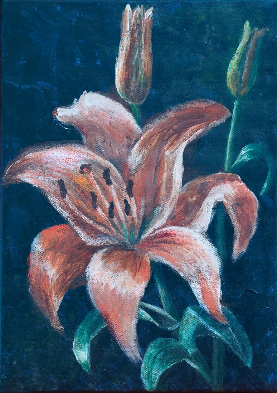 Orange Lily, 2022 (pastel) de Margo Starkey