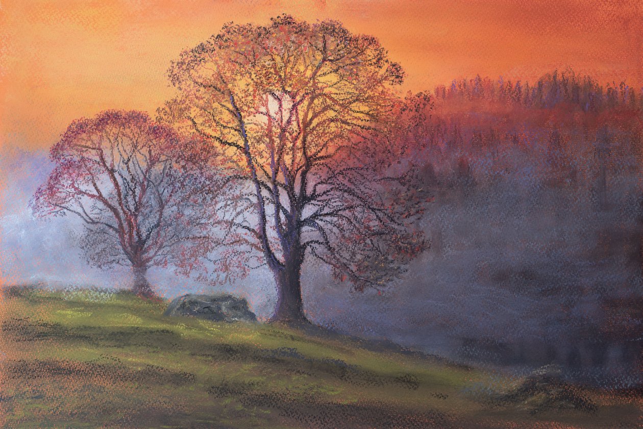 Sol através da neblina precoce, 2020 (pastel) de Margo Starkey