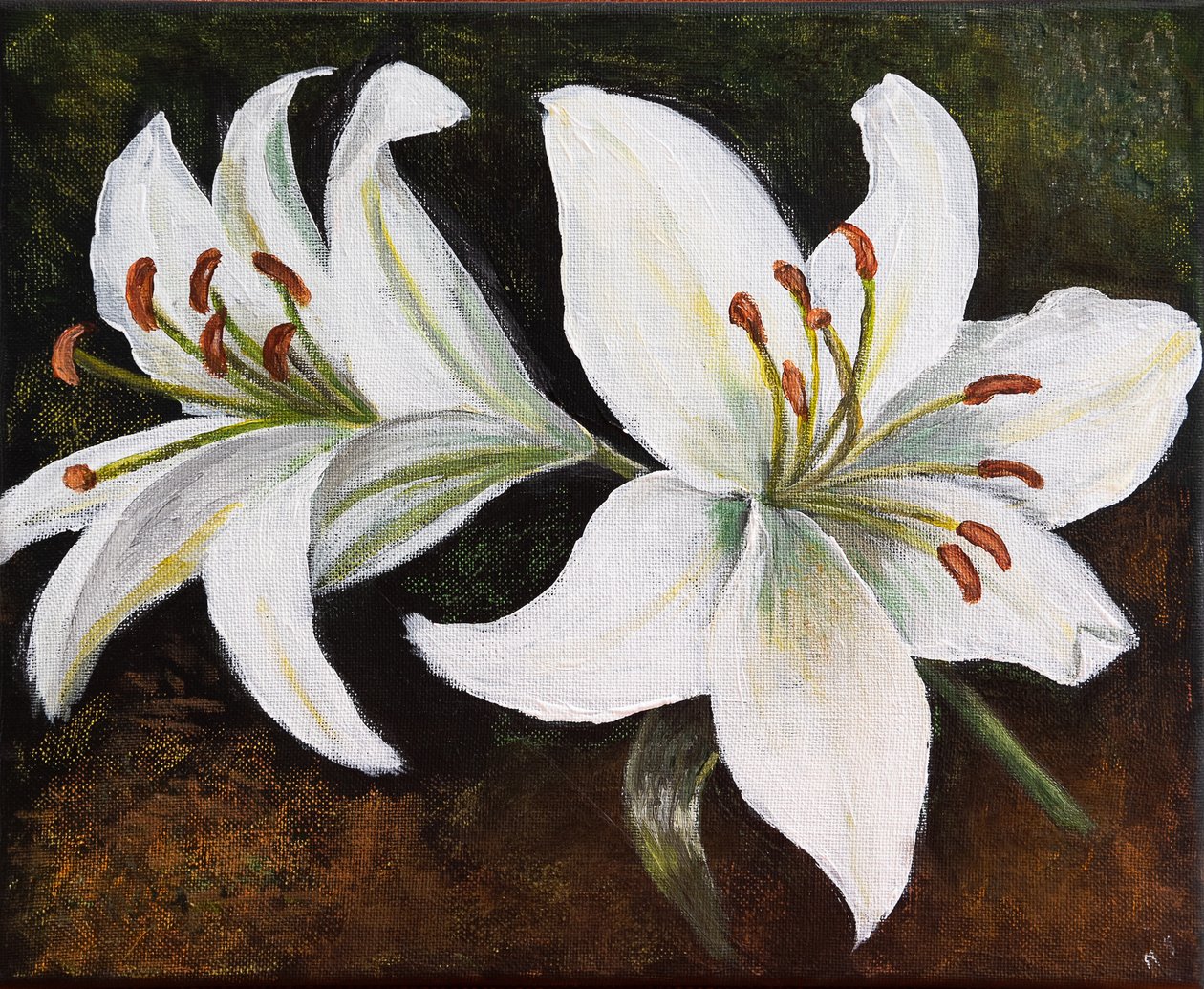 Lírio Branco, 2022 (pastel) de Margo Starkey