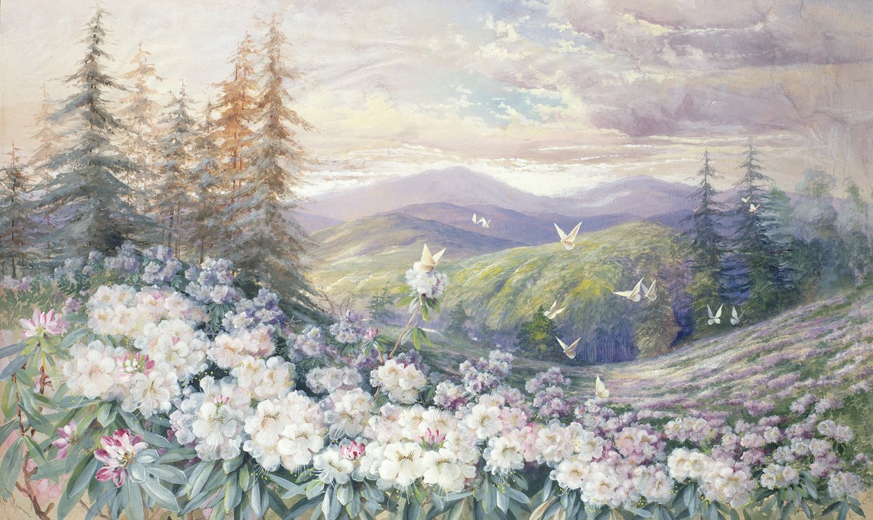 Paisagem de primavera de Marian Ellis Rowan
