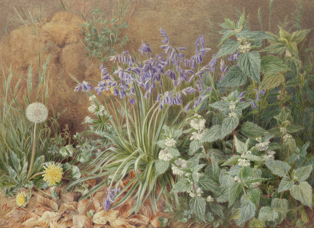 Flores silvestres de Marian Emma Chase