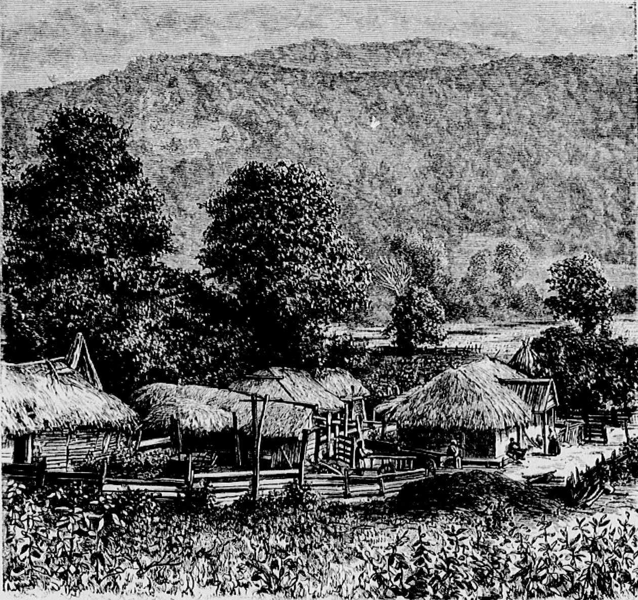 Aldeia mingrèlien de Marie Dronsart