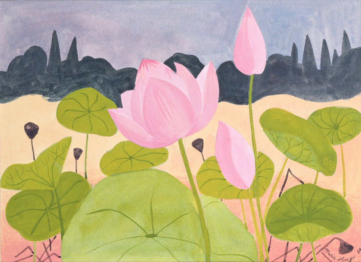 Lotus no Garrigue, 1984 de Marie Hugo
