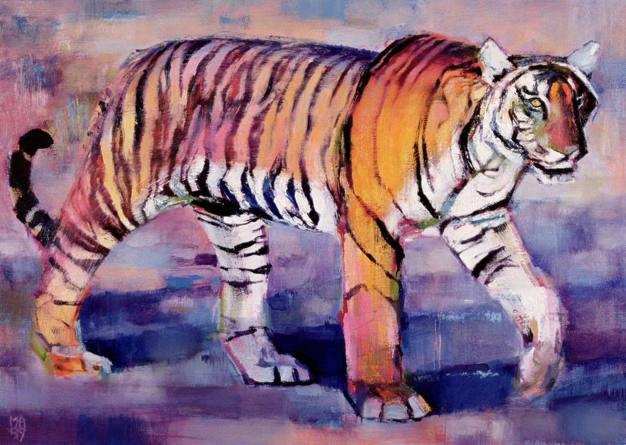 Tigress, Khana, Índia, 1999 de Mark Adlington