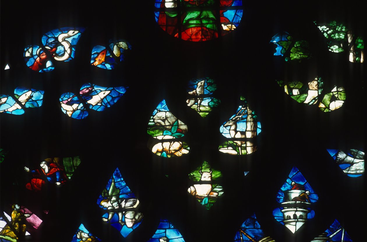 Janela rosa do Sul (vitral) de Martin Chambiges