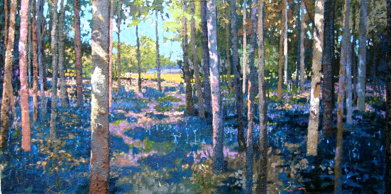 Madeira Bluebell, 2009 de Martin Decent