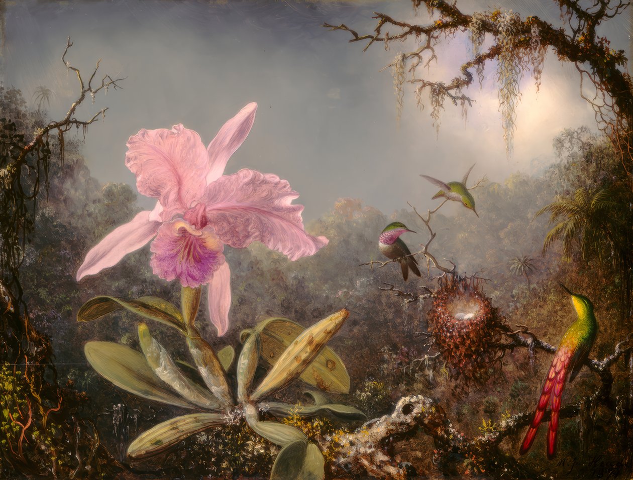 Orquídea Cattleya e três beija-flores de Martin Johnson Heade