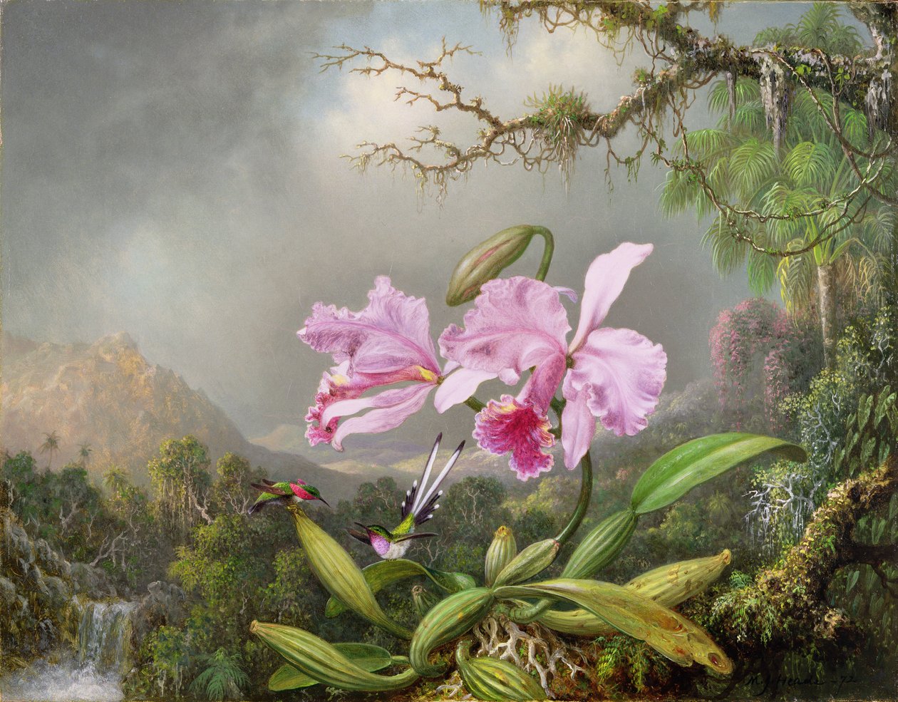 Estudo de uma orquídea, 1872 de Martin Johnson Heade