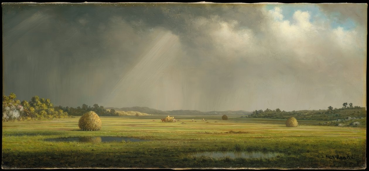 Prados de Newburyport de Martin Johnson Heade
